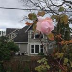 Profile Picture of Trevor Curtis (@trev.curtis) on Instagram