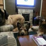 Profile Picture of lisa anderson (@golinidu) on Instagram