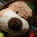 Profile Picture of Carlos Teves (@carlostvs) on Flickr