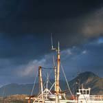 Profile Picture of Brianna Davidson (@briannadavidsonf) on Instagram