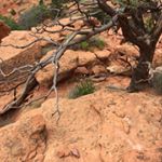 Profile Picture of Lucas Bliss (@bazelguiseisharderthandeviljho) on Instagram