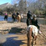 Buddy burnside - Instagram Profile Picture of Buddy burnside (@buddyburnside) on Instagram