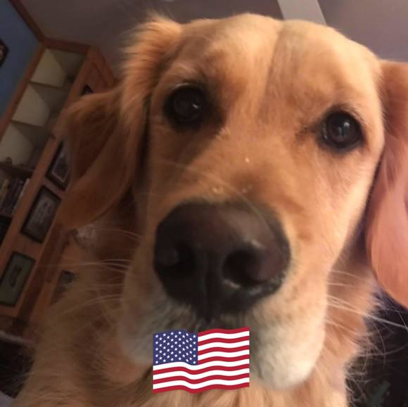 Profile Picture of Sue Siegelin-parsonnet (@mparsonnet) on Poshmark