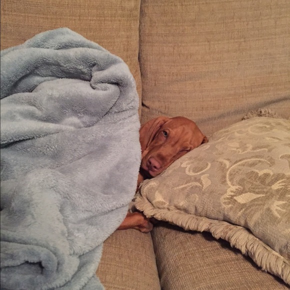 Profile Picture of Jasna Kljaj (@jasnaklj) on Poshmark