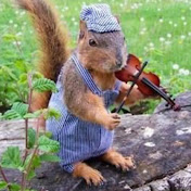 Profile Picture of Alice Medrano (@alicemedrano9944) on Youtube