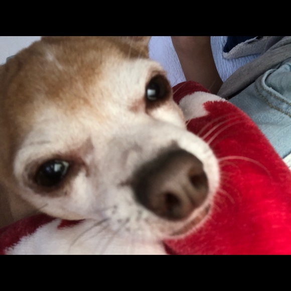 Profile Picture of James Olsen (@f_h_j_g) on Poshmark