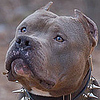 Profile Picture of Nathan Groce (@groce_nathan) on Flickr