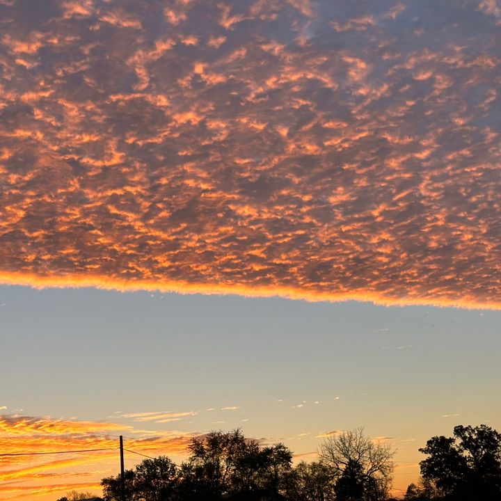 Profile Picture of Joshua Bair (@bair_joshua01) on Tiktok