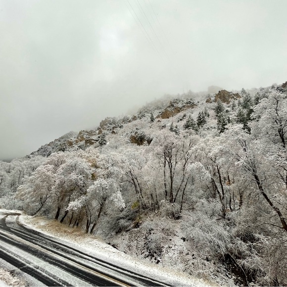 Profile Picture of Jason Faudree (@jfaudree) on Poshmark