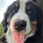 Profile Picture of Amy Warner Denes (@amy.warner.9655) on Facebook