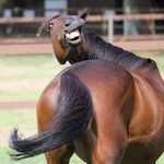 Profile Picture of Lorin Hazel (@lorinf7) on Instagram