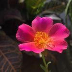 Profile Picture of Shannon Bryan (@__artsy_post__) on Instagram