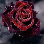 Profile Picture of Fayyd Khan (@Fayyd-Khan) on Facebook