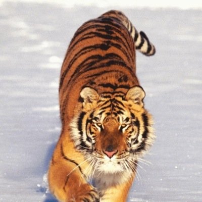 Profile Picture of Paul Bartel (@paulyb66) on Twitter