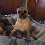 Profile Picture of Aidan Mckenna (@aidanmckenna52) on Instagram