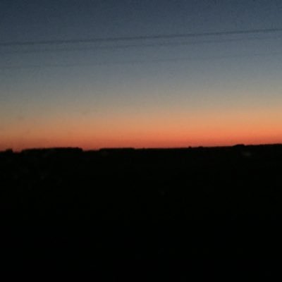 Profile Picture of Mitch Jones (@Mitch_Jones1) on Twitter