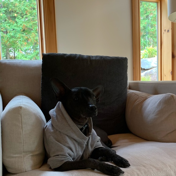 Profile Picture of Cecilia Simms (@technodogs) on Poshmark