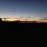 Profile Picture of Bianca Valentino (@thesunsetsofnewyork) on Instagram