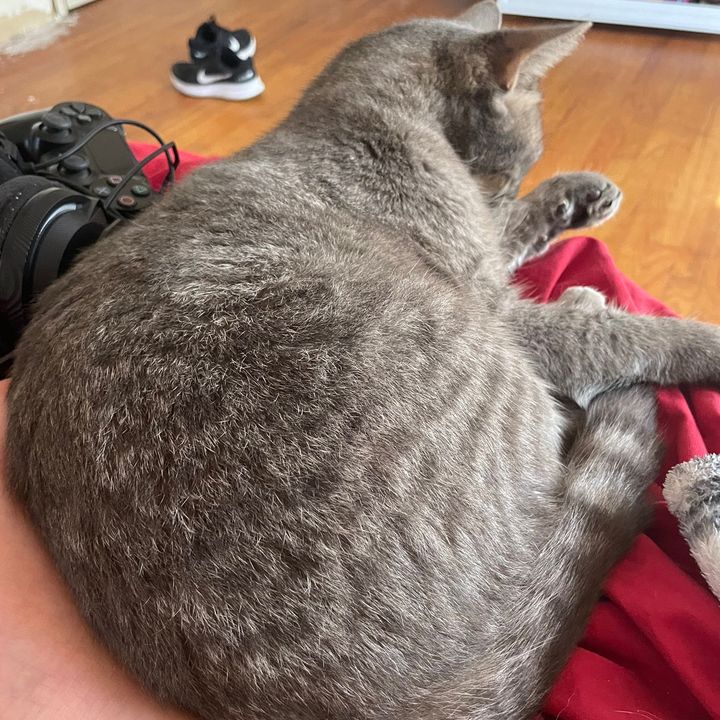 Profile Picture of Jasperminick (@jasperminick) on Tiktok