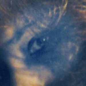 Profile Picture of Stephanie Wellington (@kytten_32) on Myspace