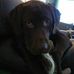 Profile Picture of Braden Kehoe (@braden.kehoe.75) on Facebook