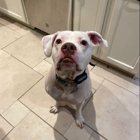 Profile Picture of Erin Lowe (@elowe6739) on Pinterest