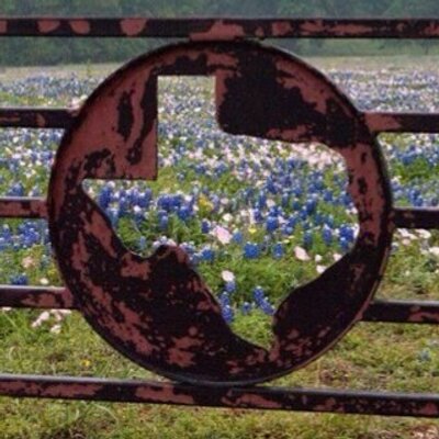 Profile Picture of Penny Arnold (@farmernickel) on Twitter