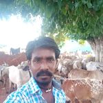 Profile Picture of A Senthil Kumar (@asenthil.kumar.58958) on Instagram
