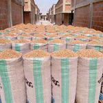 Profile Picture of Faisal Mahmoud (@faisalmahmoud50) on Instagram