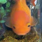 Profile Picture of Marc Aerts (@aertsmarc) on Instagram