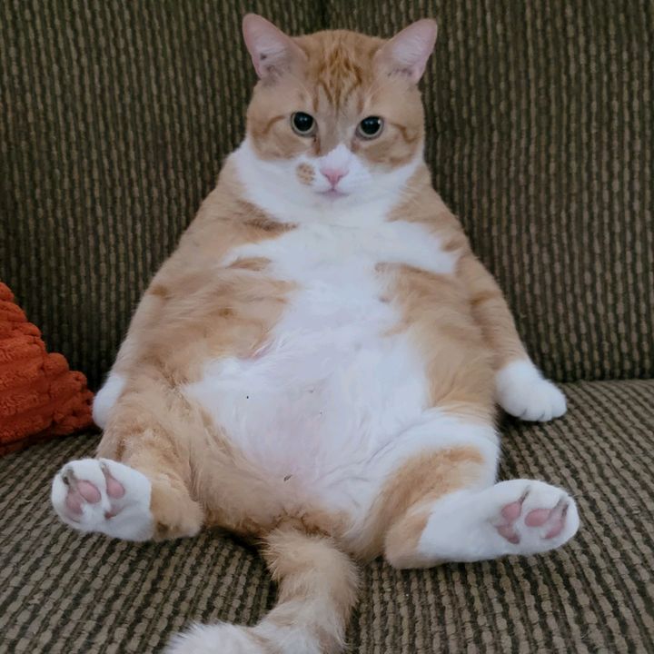 Profile Picture of ScottyB (@scottbh2o) on Tiktok