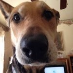 Profile Picture of Bernard Hochstuhl (@bernardhochstuhl) on Instagram