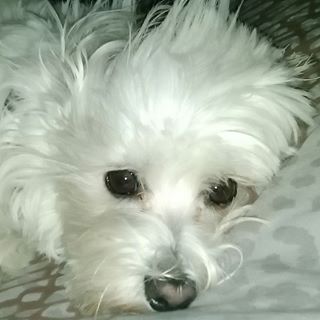 Profile Picture of Lorette Cordero (@lorette.cordero.7) on Facebook