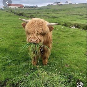 Profile Picture of Jasmin Harrison (@jmharrison3711) on Pinterest