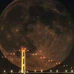 Profile Picture of Pete Staffiery (@petestaffiery) on Instagram