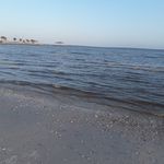 Profile Picture of David Krone (@krone.david) on Instagram