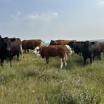 Profile Picture of Jeremy Bartel (@jer.bartel.9) on Facebook