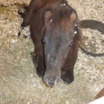 Profile Picture of Shauna Jacobs (@shaunajacobs77) on Instagram