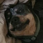 Jeremy McCartney - Instagram Profile Picture of Jeremy McCartney (@mccartneyjeremy) on Instagram