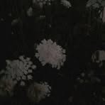 Peyton Slaba - Facebook Profile Picture of Peyton Slaba (@Peyton-Slaba) on Facebook