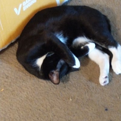 Profile Picture of Jonathan Hadaway (@JonathanHadawa2) on Twitter