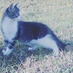 Profile Picture of William  ludolph (@williamludolph) on Instagram