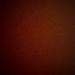 Profile Picture of Briana Tigges (@brianatigges) on Pinterest