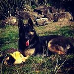 Profile Picture of Revák Ádám (@adam.revak) on Instagram