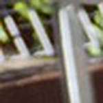 Profile Picture of Cherry & Brian (@Cherry & Brian) on Flickr