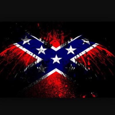 Profile Picture of Lucas Humphrey (@Rebel_Eagle102) on Twitter