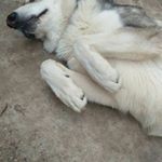 Profile Picture of Nathan Oldfield (@nathan.oldfield.7771) on Instagram