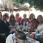 Kim Kelly Finestead - Instagram Profile Picture of Kim Kelly Finestead (@finesteadkim) on Instagram