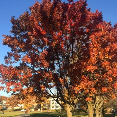 Profile Picture of Rebecca Lehman (@rlehman_h2o) on Twitter