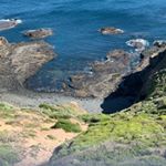 Profile Picture of Alison Murray (@astridravengrae) on Instagram